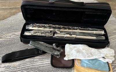 Flute with carry case- Brand New- Low Price. $50