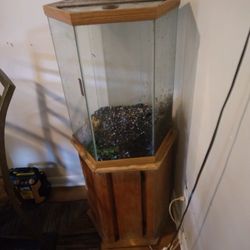 Hexagon Tank