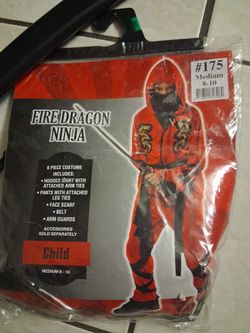 Fire dragon ninja with sord