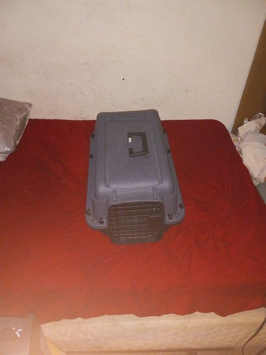 Cat Cage & Carrier