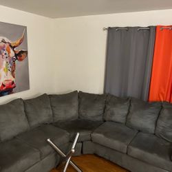 Grey Sectional Couch