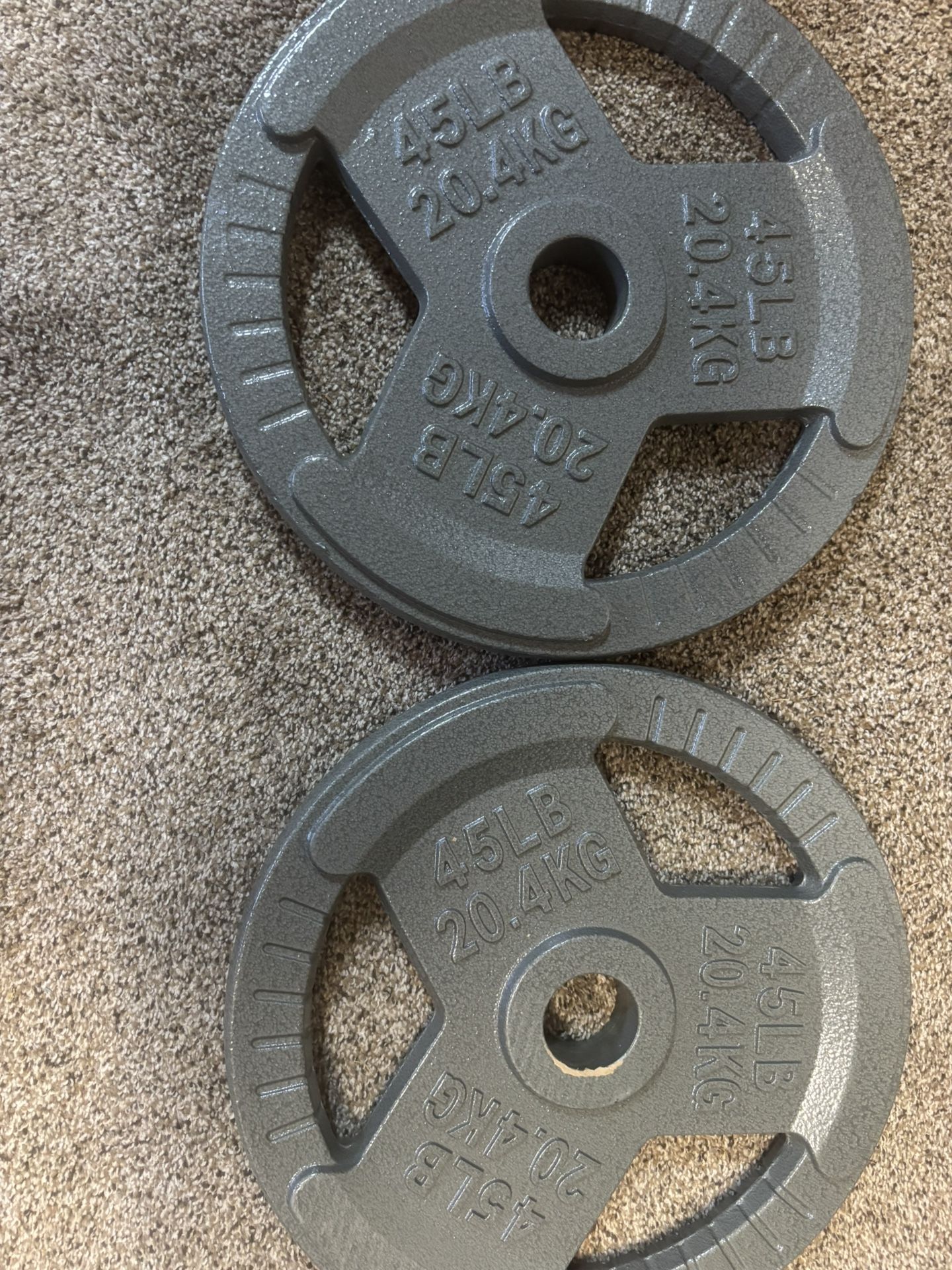 2-45lb. Cast Iron Olympic Plates