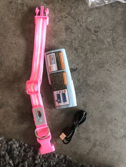 Blazin’ safety LED dog collar (light up dog collar)