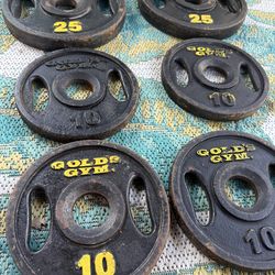 Gold’s Gym Cast Iron Weight Plates – 90 lbs Total