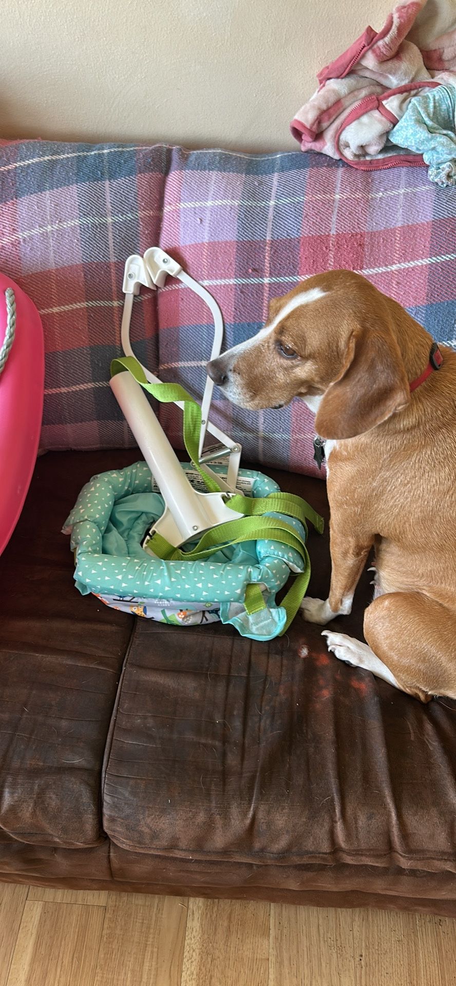 Baby Bouncer