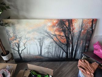 Large Picture
