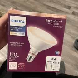 Light Bulb 