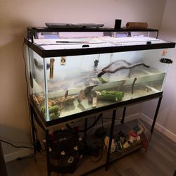75 Gallon Tank And Stand 