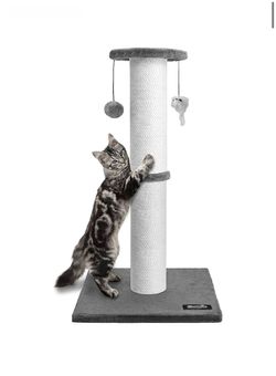 34-Inch Tall Cat Scratching Post for Large Cats, Stable Base, Gray Heavy-Duty Cat Scratcher, Extra-Tall Thick Post, Soft Natural Cotton Rope, Hanging