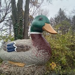 Duck Statue