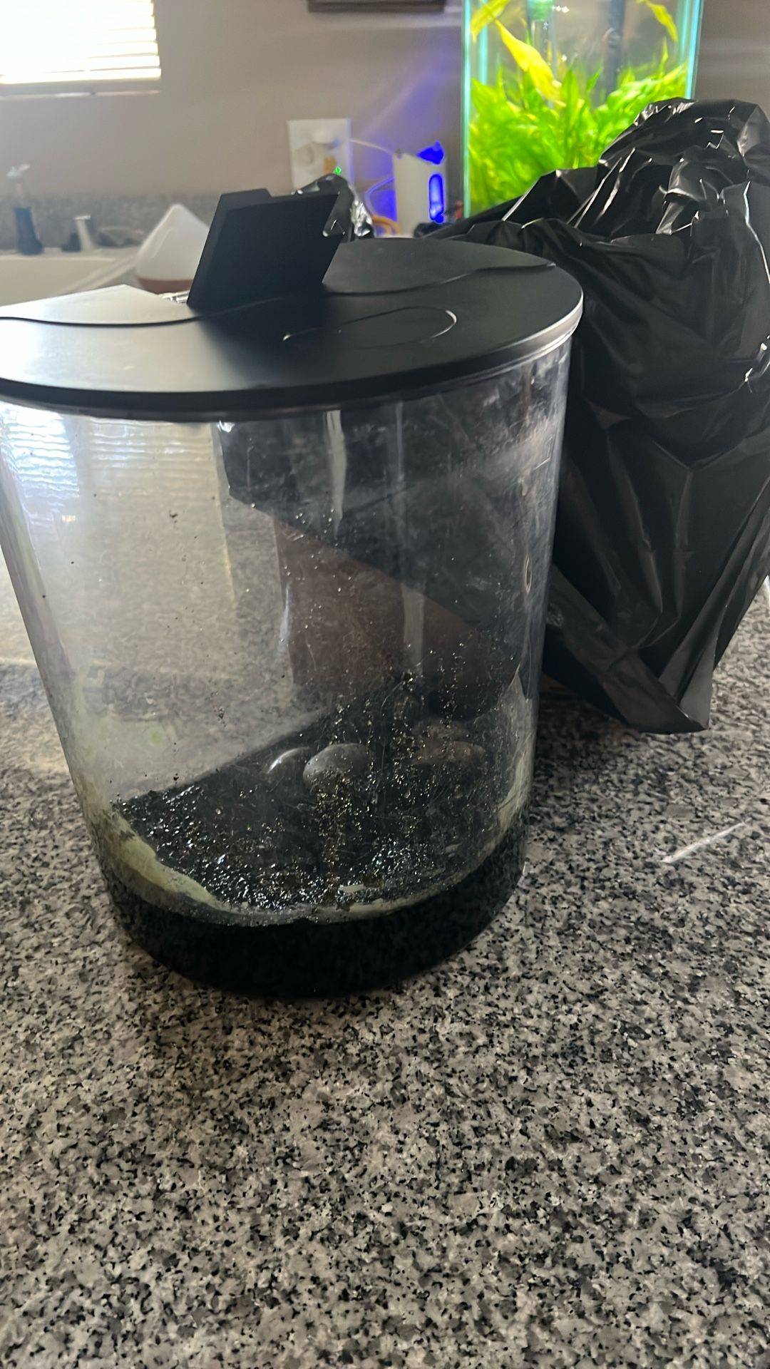 2 Gallon Fish Tank