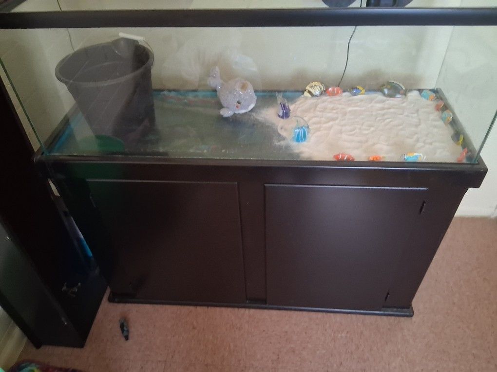 Fish Tank