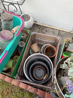 Plants pots accessories