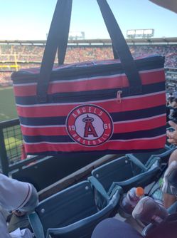 Angel's Lunch bag