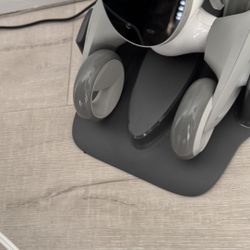 Loone Inteligencia Artificial Dog