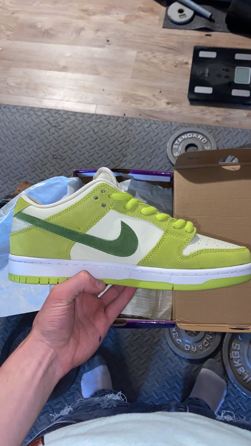 Nike Dunk Low SB "Green Apple" 