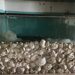 Fish Tank 180 Gallons Salt Water Tank