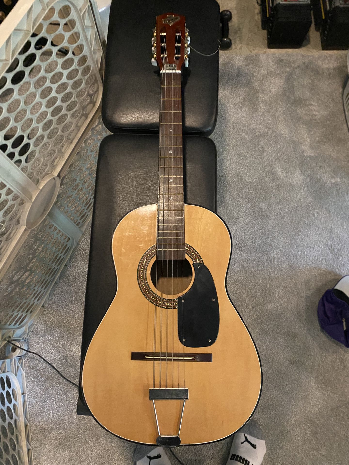 Trump guitar 