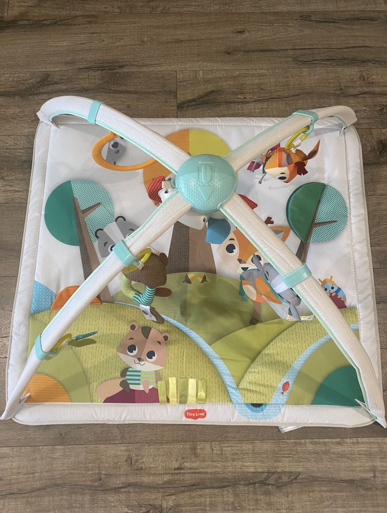 Tiny Love Into the Forest Gymini Deluxe Play Mat