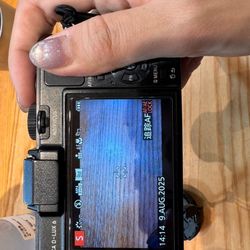 Leica Dlux-6
