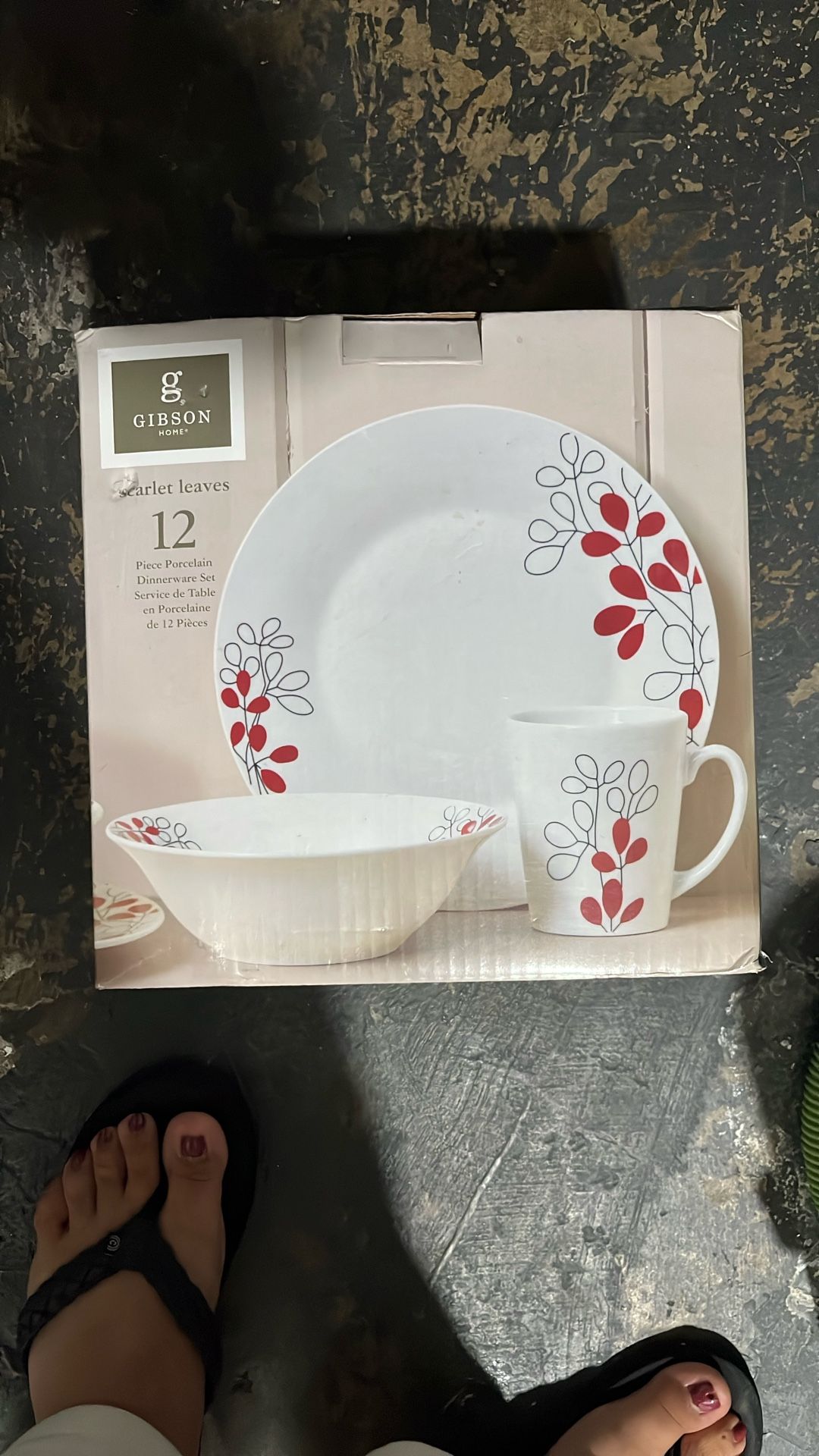 12pc Set Dinner Plates