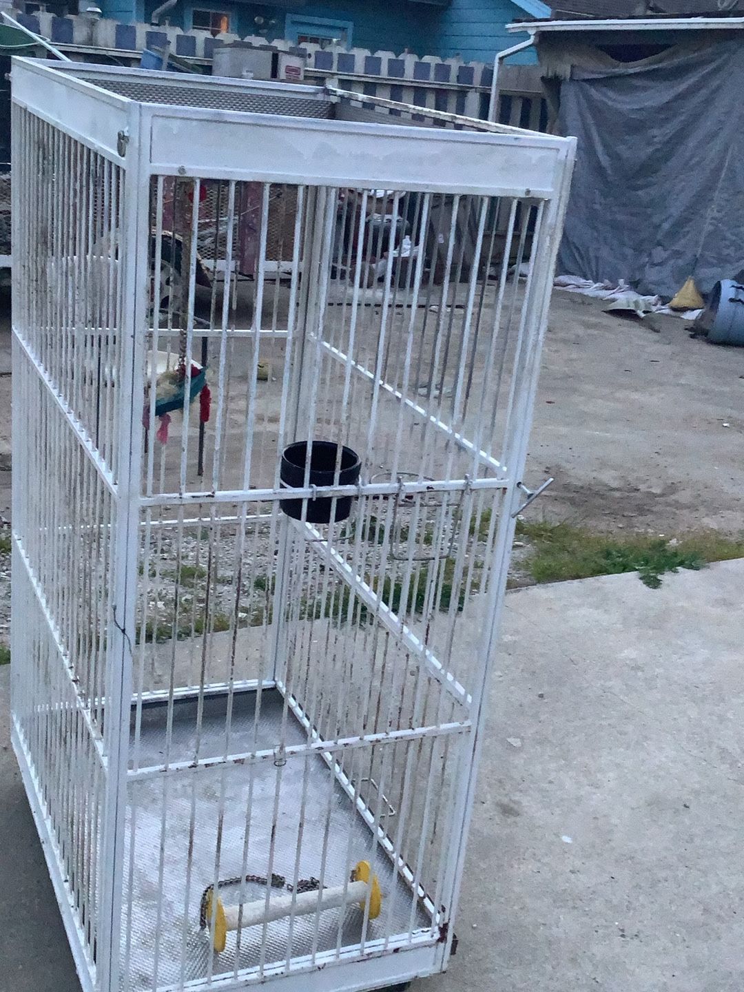 Cage For Birds