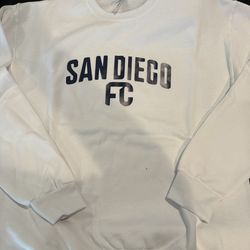 sdfc sweatshirt