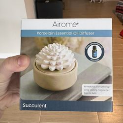 Brand New In Box Oil Diffuser