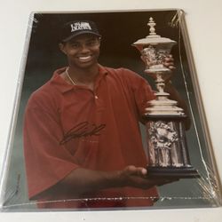 Tiger Woods Autograph Signed Photo