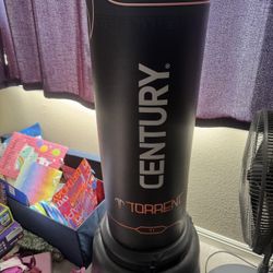 Kickboxing Bag