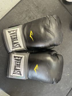 Everlast 12 Oz Boxing Gloves 