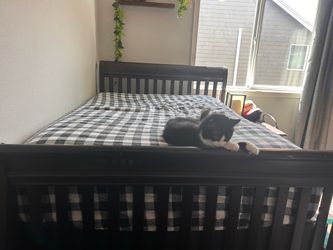 bed-frame + dresser