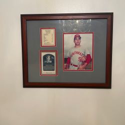 Baseball Wall Art Man Cave Cincinnati Johnny Lee bench 