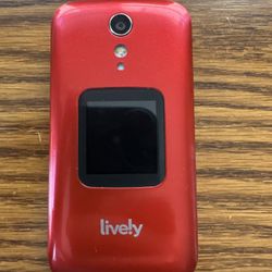Lively Flip 2 Phone 