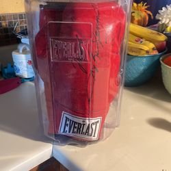 Sugar Ray Leonard Autographed Boxing Gloves