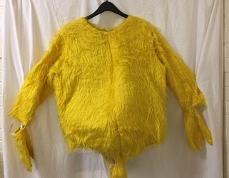 Vintage Duck/Bird costume (adult sz)