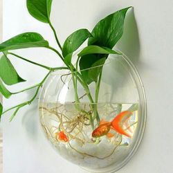 Rare Aroid Monstera Lechleriana Plant/ House Plant/ Indoor Plant Flower Patio Garden 