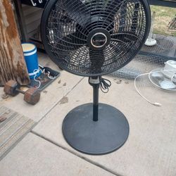 Fan 