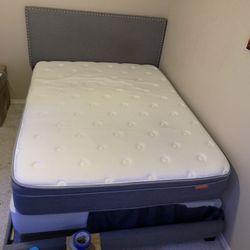 Queen Bed And Metal Box Spring