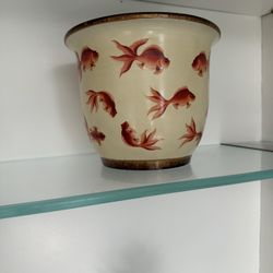 Goldfish Plant Pot