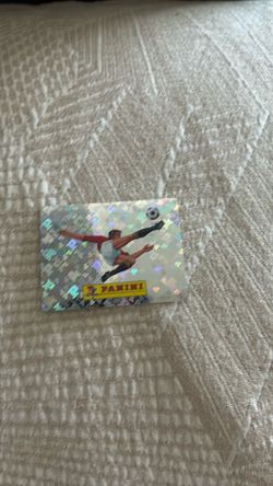 Panini sticker