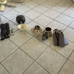 Ceiling Fans. $50 Each