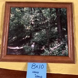 Scenic pictures of Riverview Park