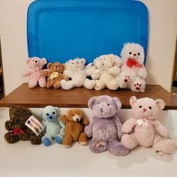 Teddy Bear Set 🧸 Of 10 Plush Stuffed Animals