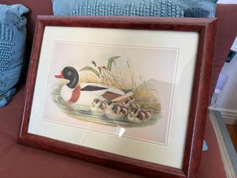 Framed Duck Family Nature Print