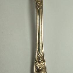 1847 Roger's Bros XS Triple Spoon