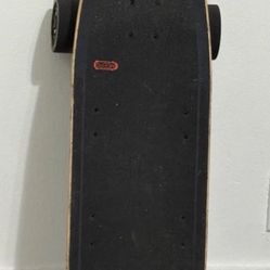 Electric Skateboard 