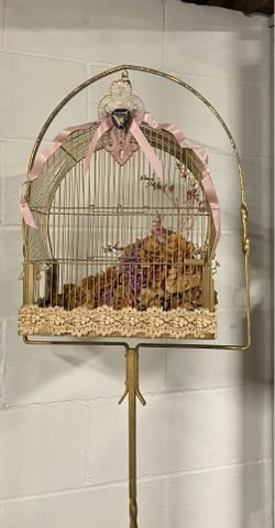 Bird Cage