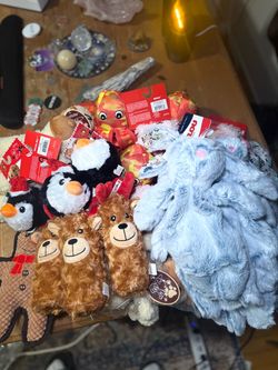 A box of new dog toys