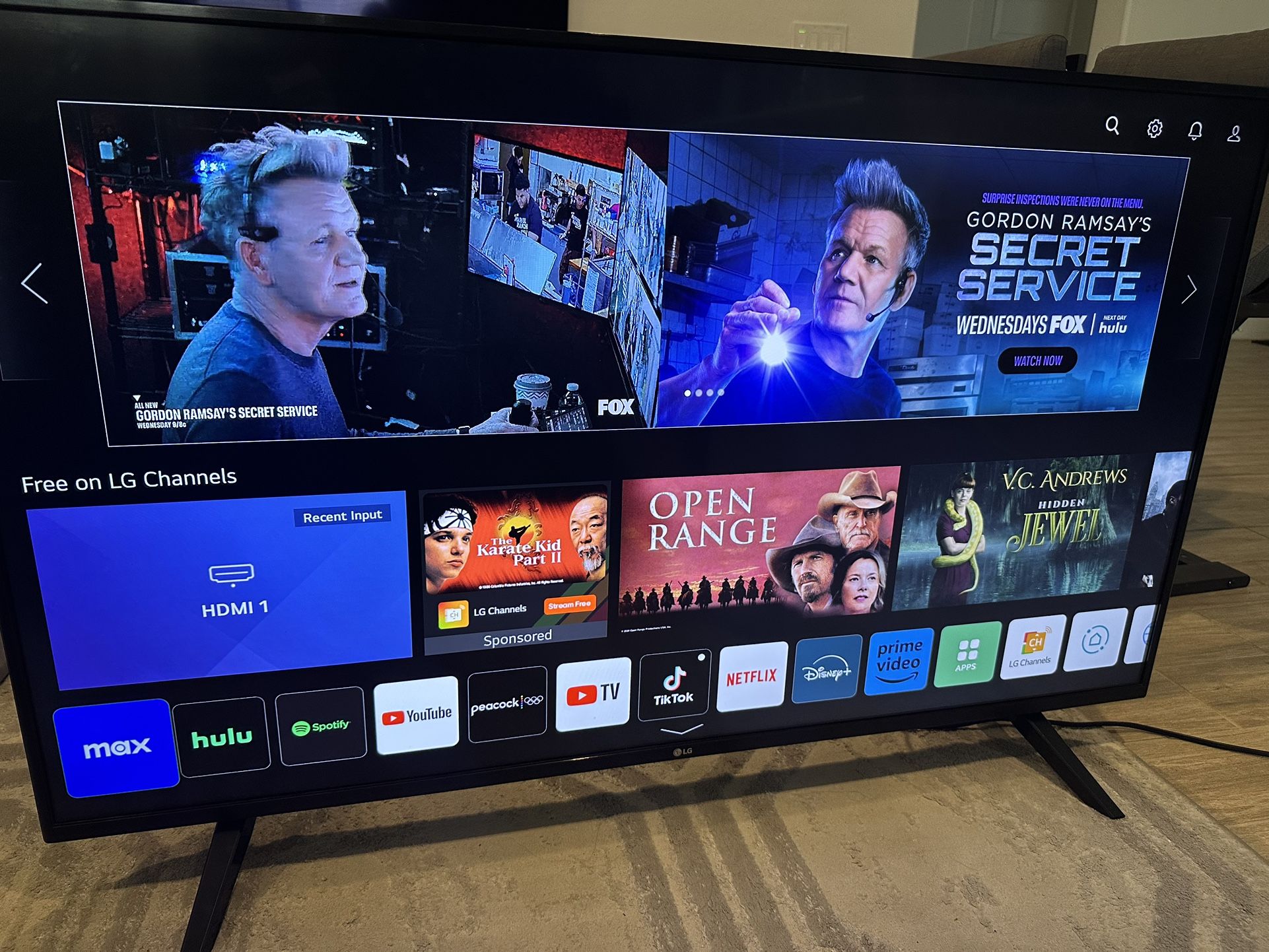 LG 50 inch Smart TV
